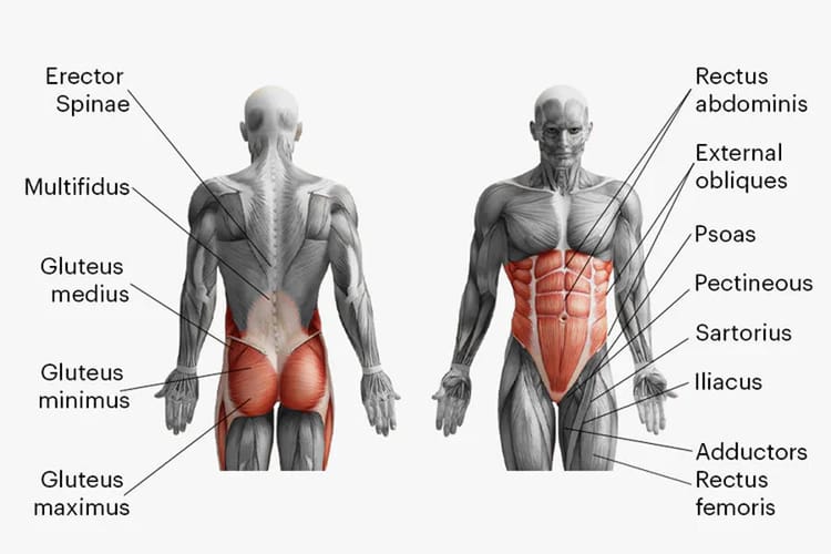The Core Trilogy Volume Three: Advanced Core Exercises. (Or, How to Join the Circus...)