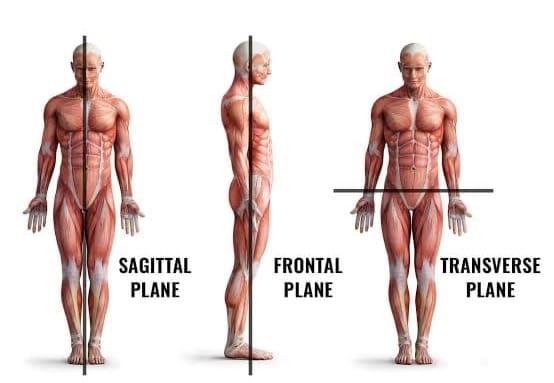 Grab Your "Passport" to Health: Moving in Different Planes of Motion.